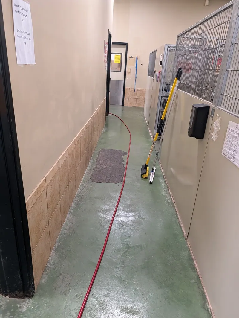 High pressure jetting hose run down a commercial hallway to clear a drain line